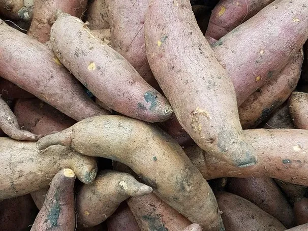 Sweet potato fritters - ingredients